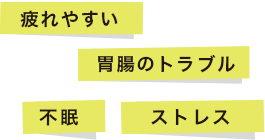 疲れやすい 胃腸のトラブル 不眠 ストレス