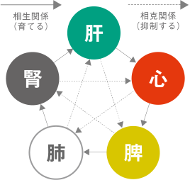 「五臓」とは...