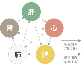 「五臓」とは...