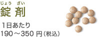 錠剤 １日あたり190～350円（税込）