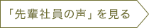 「先輩社員の声」を見る