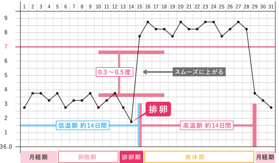 生理 体温 下がら ない