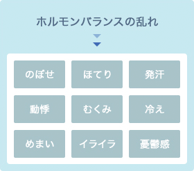 更年期障害 症状別漢方体質改善プログラム 漢方 漢方薬の薬日本堂