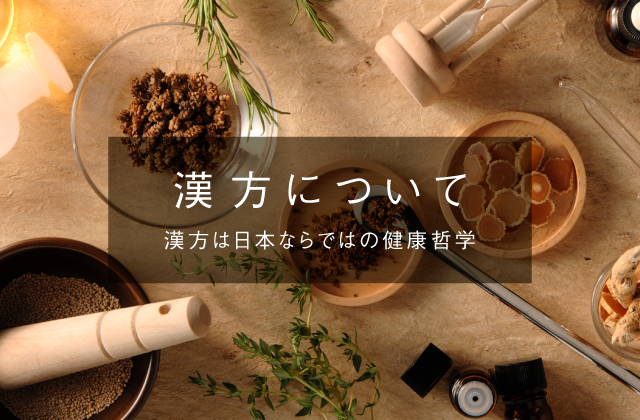 漢方 漢方薬の薬日本堂 漢方 漢方薬の薬日本堂