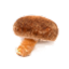 しいたけ