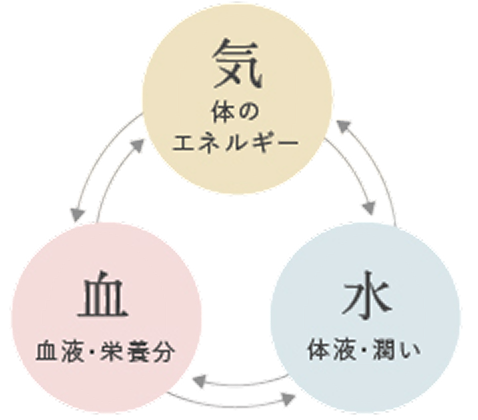 気血水のイメージ