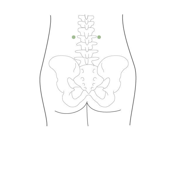 腎兪（じんゆ）
