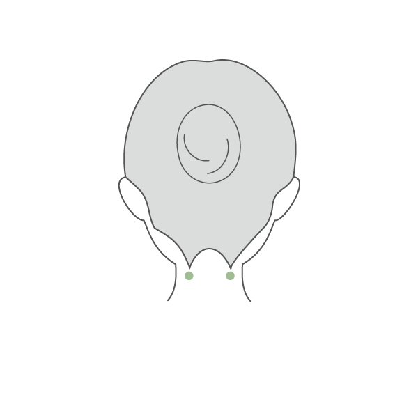風池（ふうち）