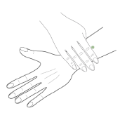 支溝（しこう）