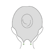 風池（ふうち）